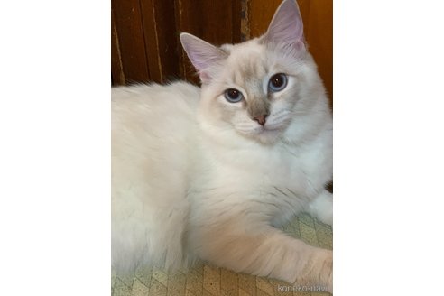 ちゃん1枚目